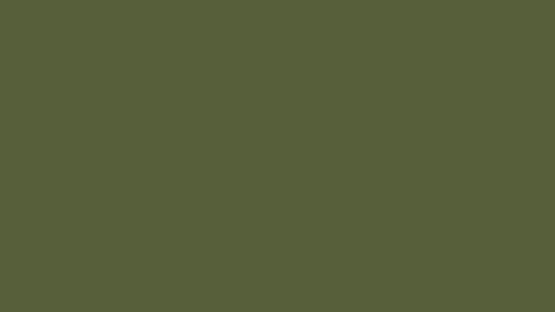25736NM-18 ZÖLD bútorlap képe