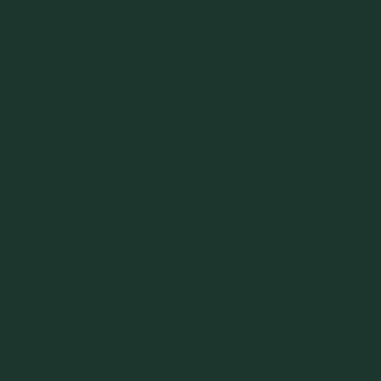 U699-ST9-18 Fir Green bútorlap képe